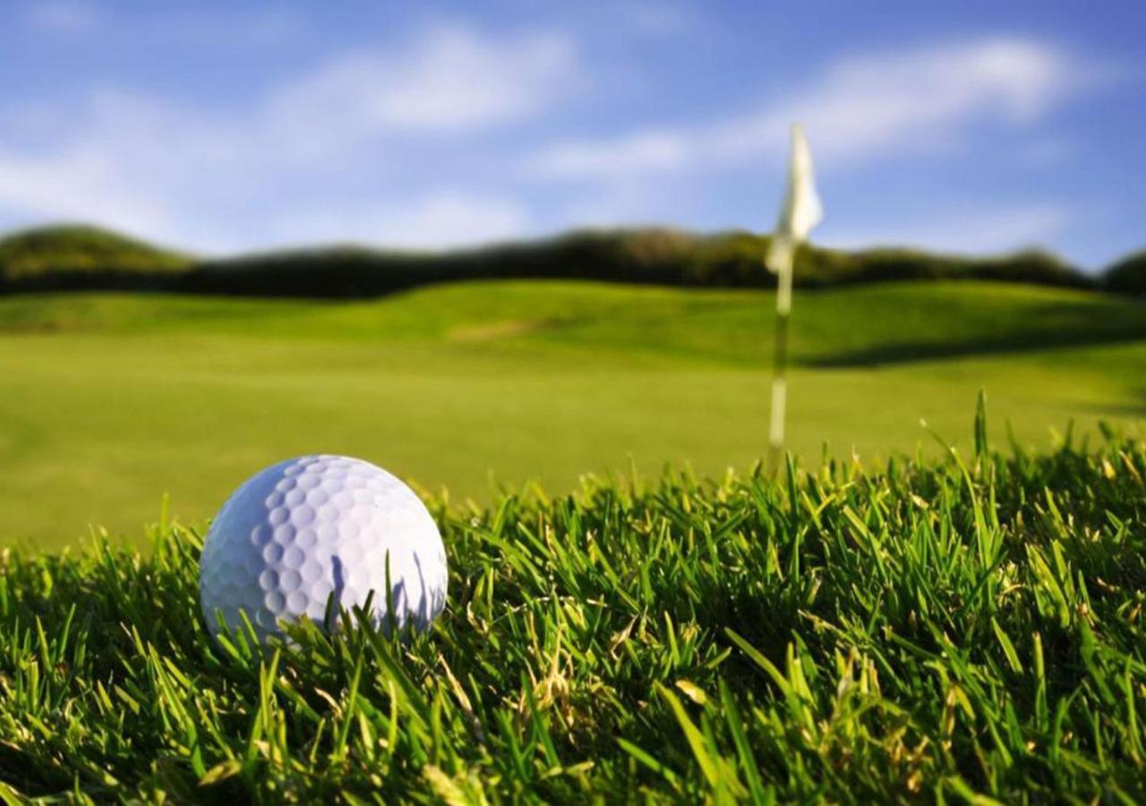 Msc Golf &