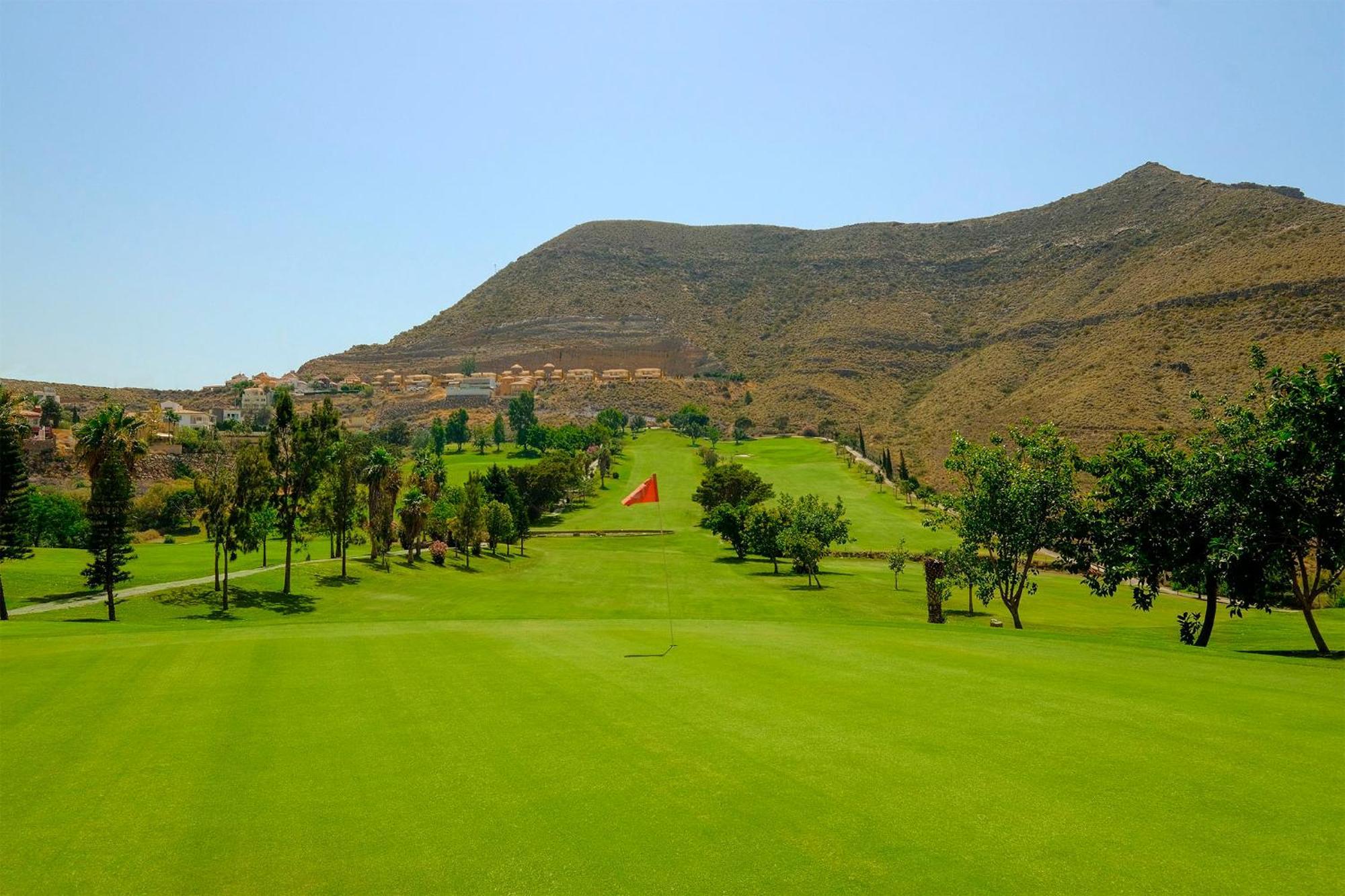 Msc Golf &
